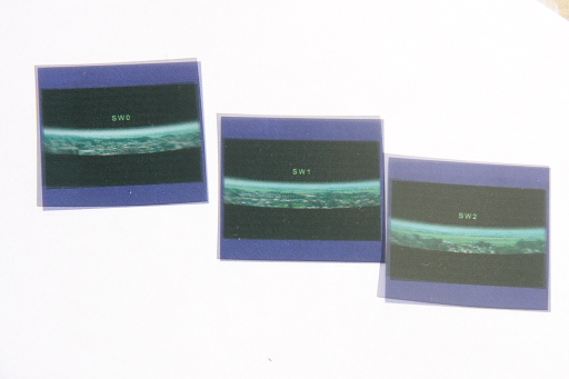 パノラマ-カット後