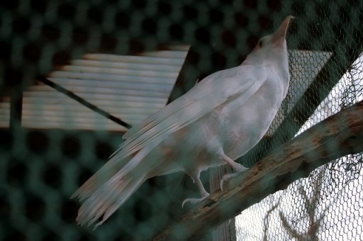 img_7328-e382abe383a9e383bce8a39ce6ada3