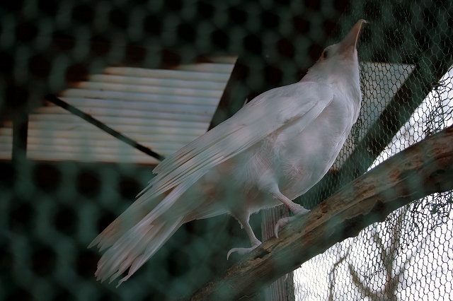 img_7328-e382abe383a9e383bce8a39ce6ada3