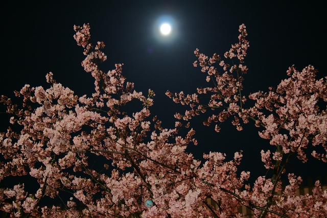 img_0101e383a9e382a4e38386e382a3e383b3e382b0