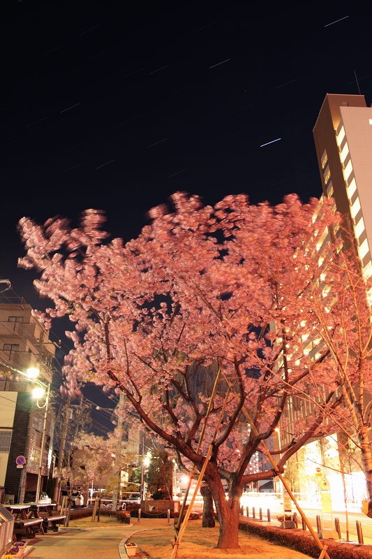 s-e382a8e383abe3839fe38391e383bce382afe381aee6b2b3e6b4a5e6a19ce38080e382abe383a9e383bce8a39ce6ada3