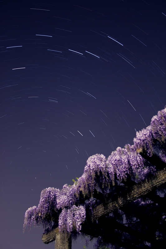 s-e897a4e381a8e5a4a7e5b08fe58c97e69697