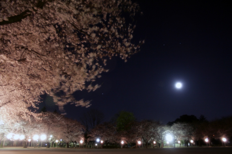 s-e9b4bbe5b7a3e585ace59c92