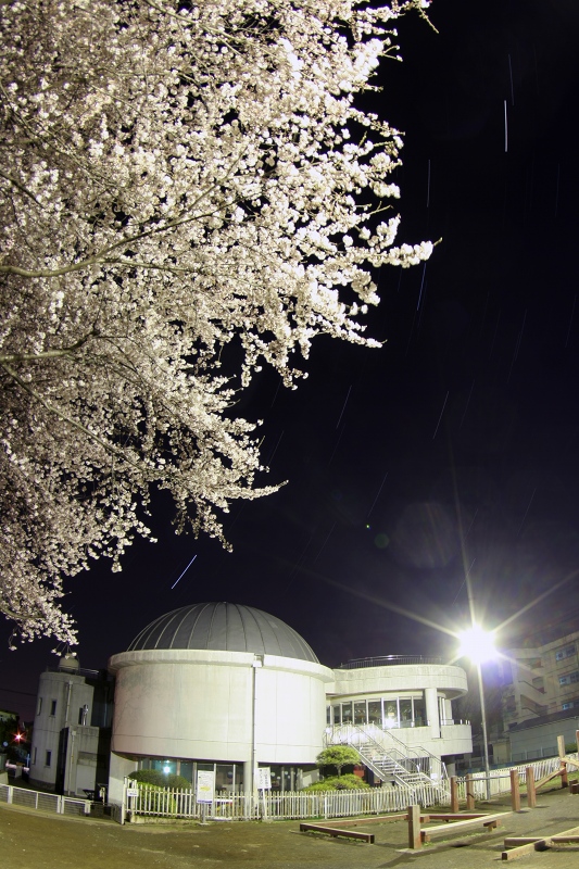 94829ebee4cde2367e3f91400d7b5448