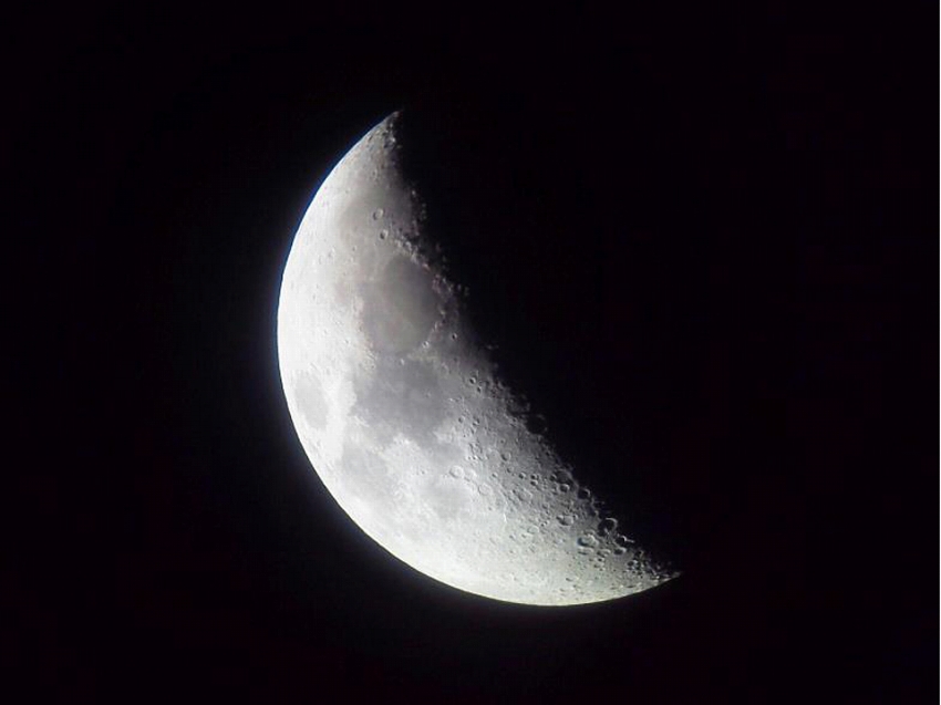 携帯で撮れるんですよ♪