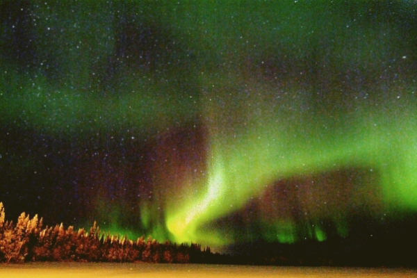 219024c1d04bae29b3c0021811302c6f1