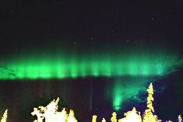 41ec187f5bca5960de35f73d73e41e631