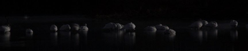 実際には、目を凝らしてもはっきり見えない暗さ