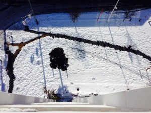 s-1911882_586467811435061_1691523671_n[1]