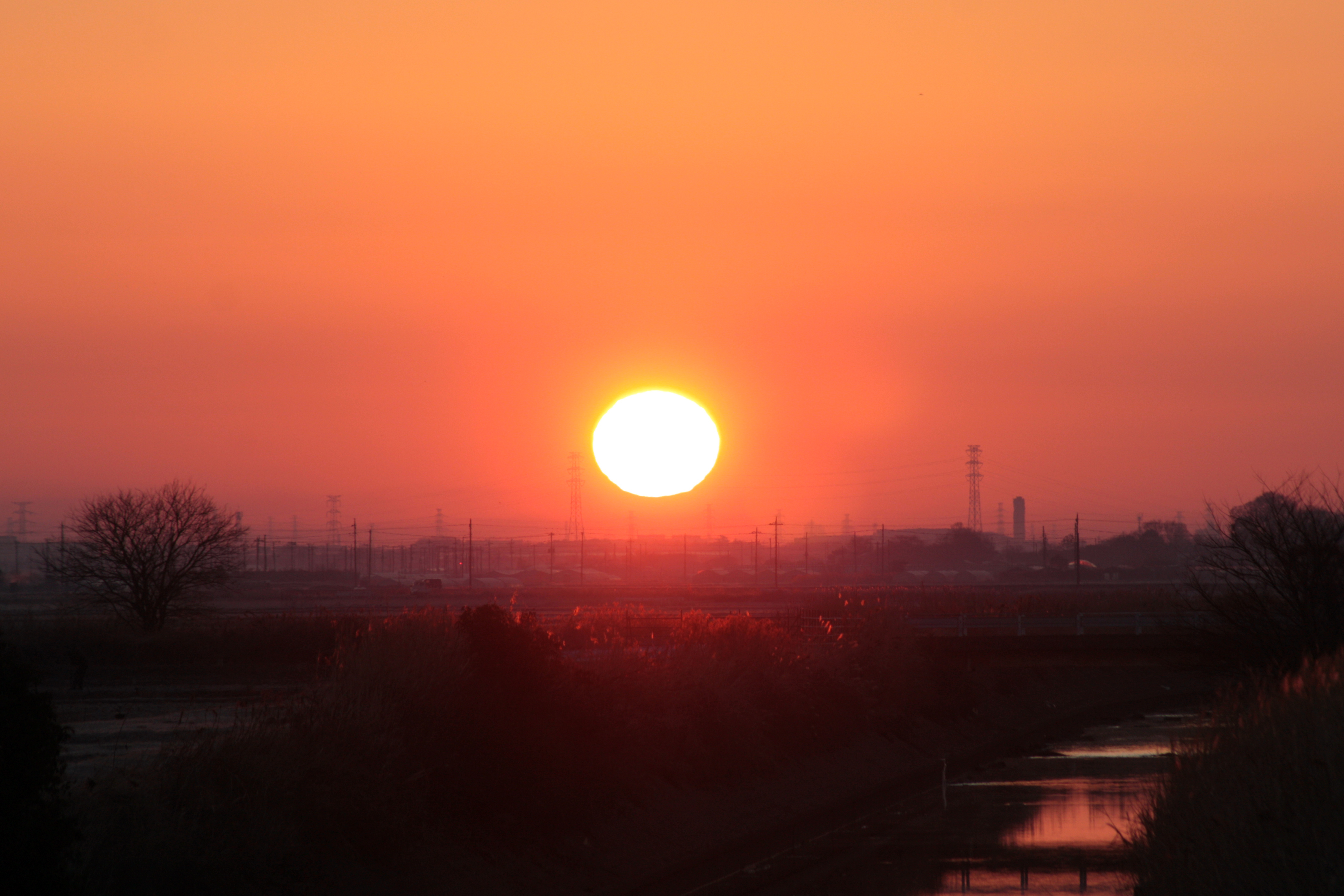 IMG_0404トリミング