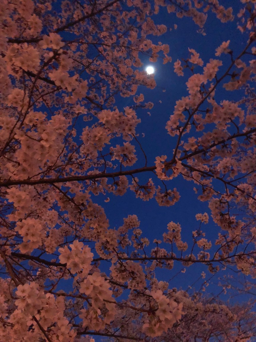 66980EF1-F11C-44D3-B0B3-2EEE5AB36A48